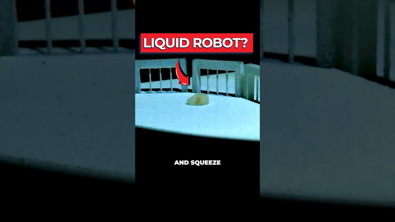 Shape-Shifting Liquid Robots: How Particle Armor Works