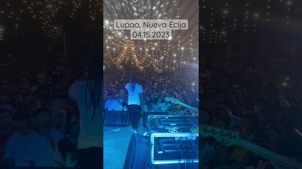 6 Hidden Techniques in Concert Crowd Reactions Decoded