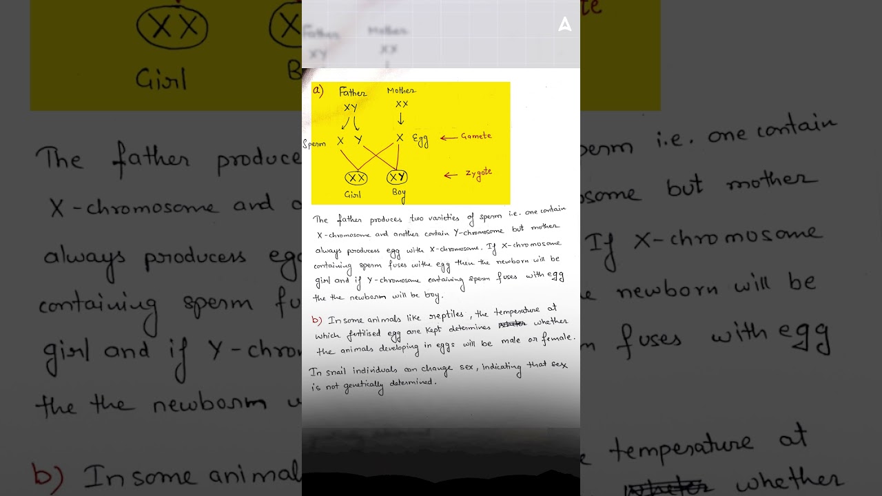 How Sex Determination Works: Genetics vs Environment Explained