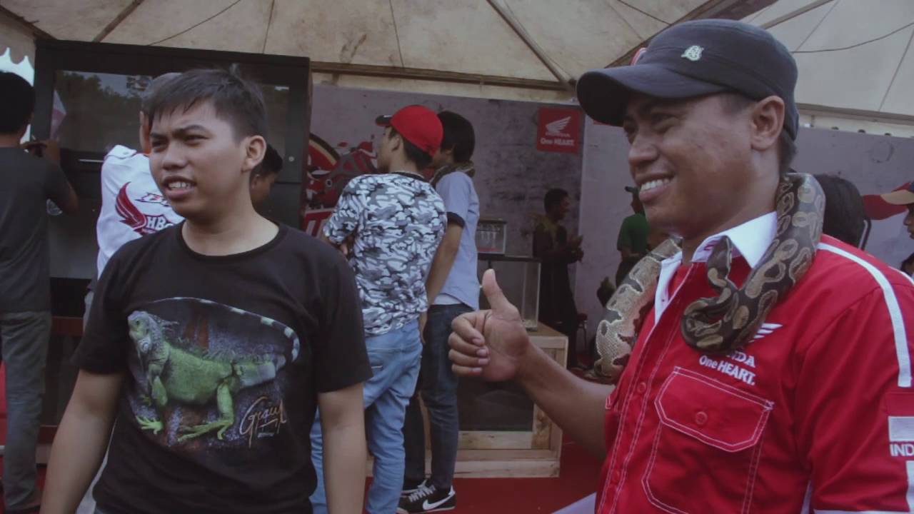 Decoding Indonesian Song Lyrics: Freedom, Dreams & National Pride