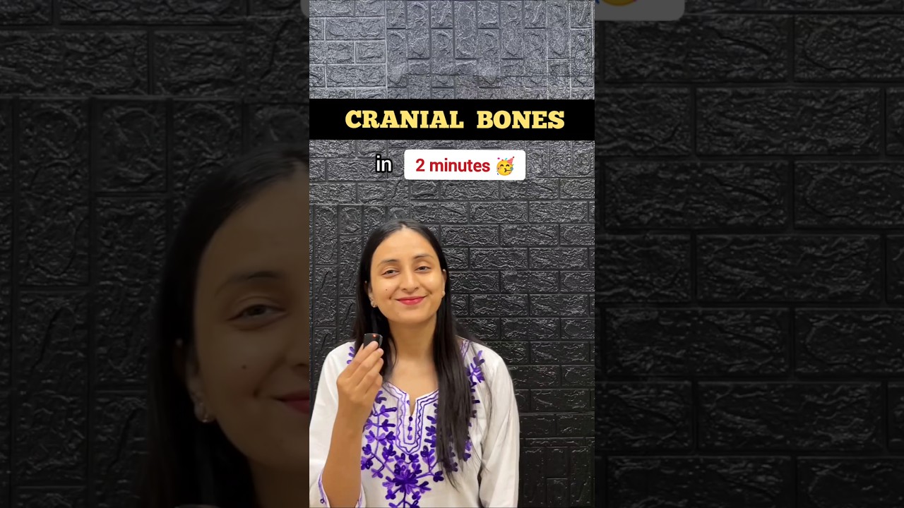 How to Remember the 8 Cranial Bones Easily with OTP SAF Mnemonic