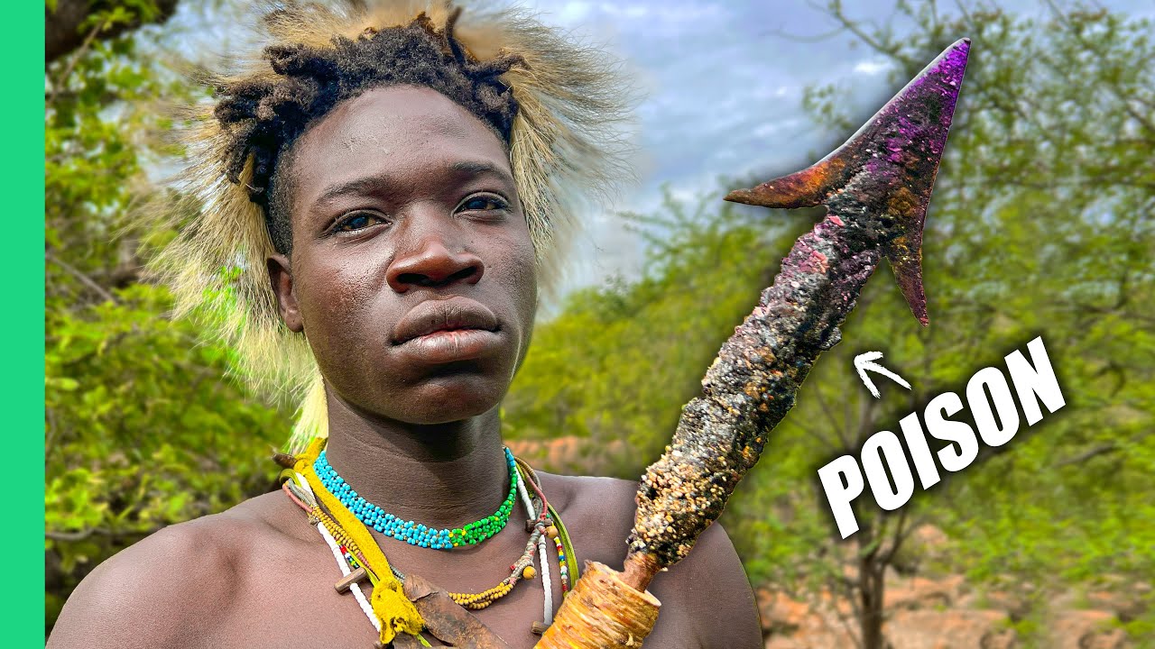 Hadza Poison Arrows: Ancient Hunting Secrets Revealed