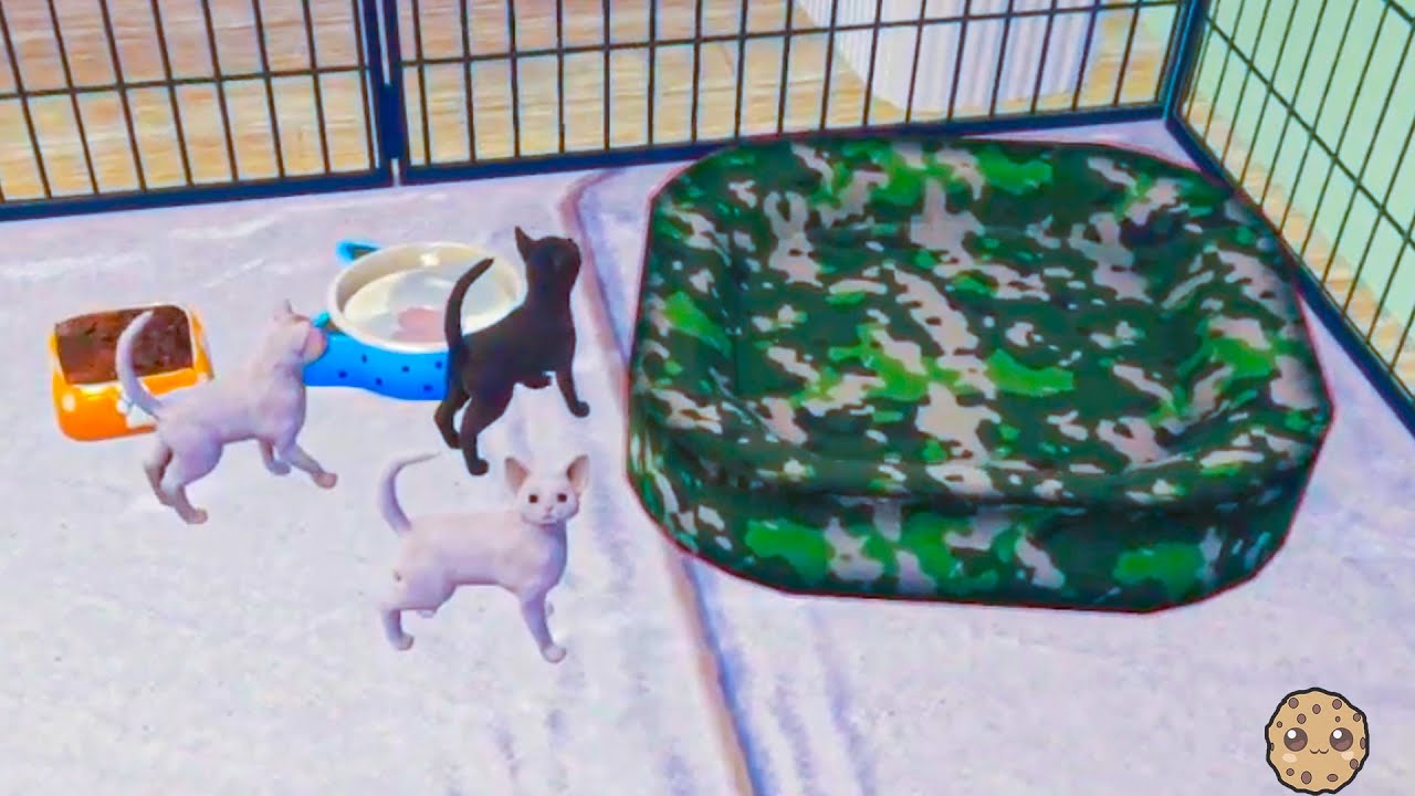 Ultimate Kitten Care Guide for Animal Shelter Game Success