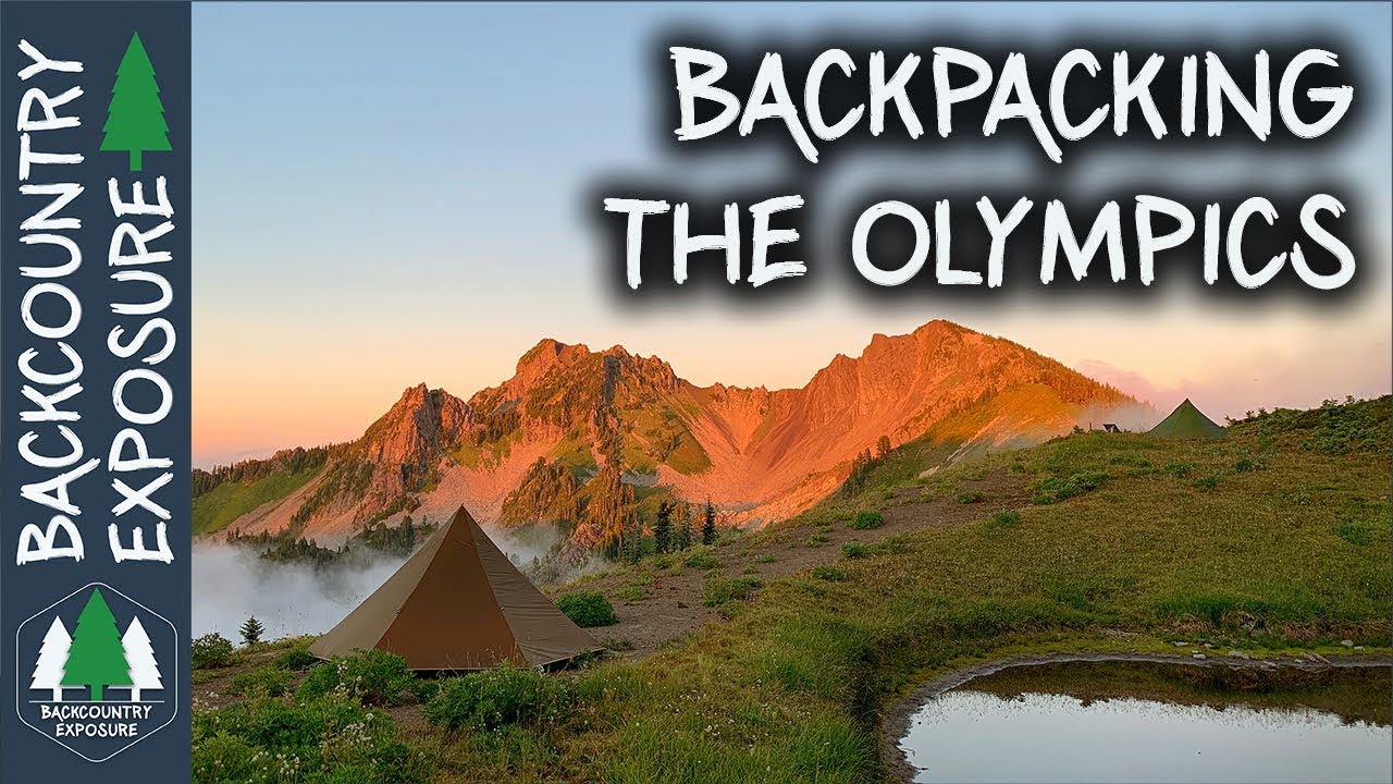 Bear Watching in Olympic National Park: Backcountry Safety Guide