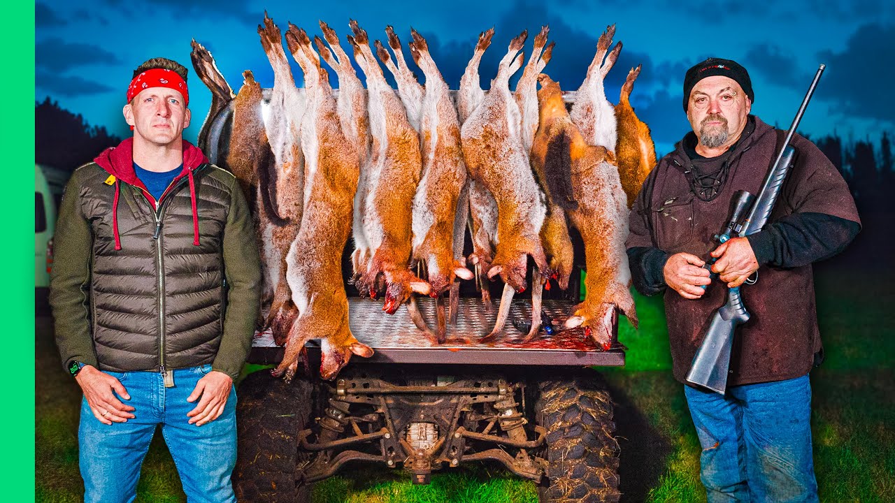 Tasmania’s Wild Game Solution: How Hunting Balances Ecology and Food