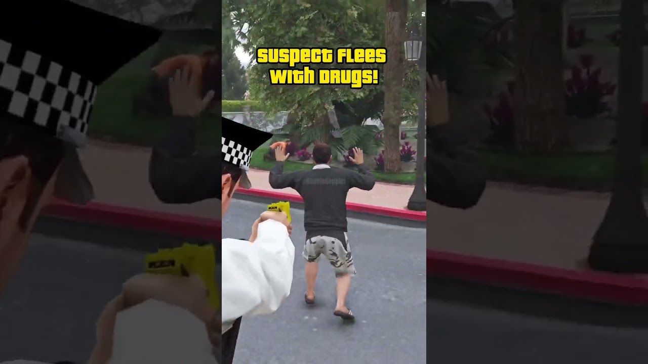 Police Drug Bust Tactics: Suspect Compliance Protocols