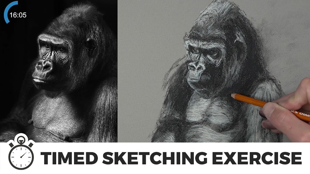 Master Quick Charcoal Sketching in 45 Minutes: Gorilla Tutorial