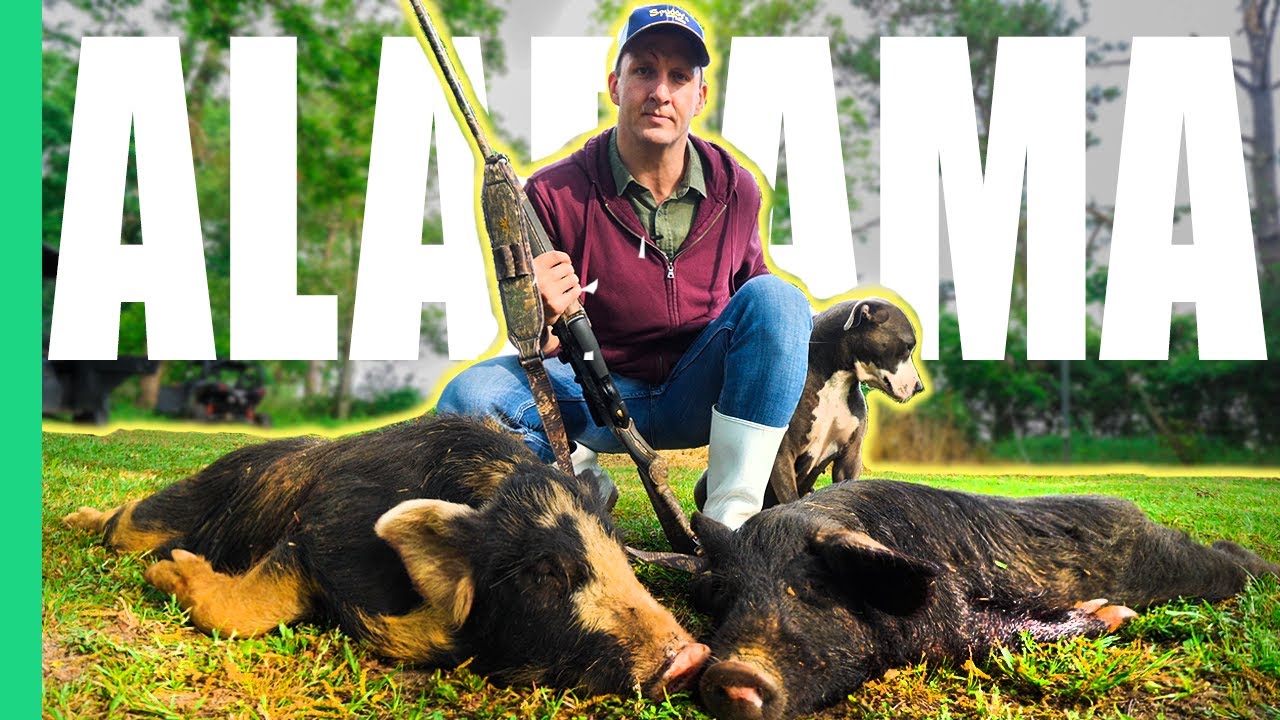 Wild Hog Hunting & Cooking: An Alabama Adventure