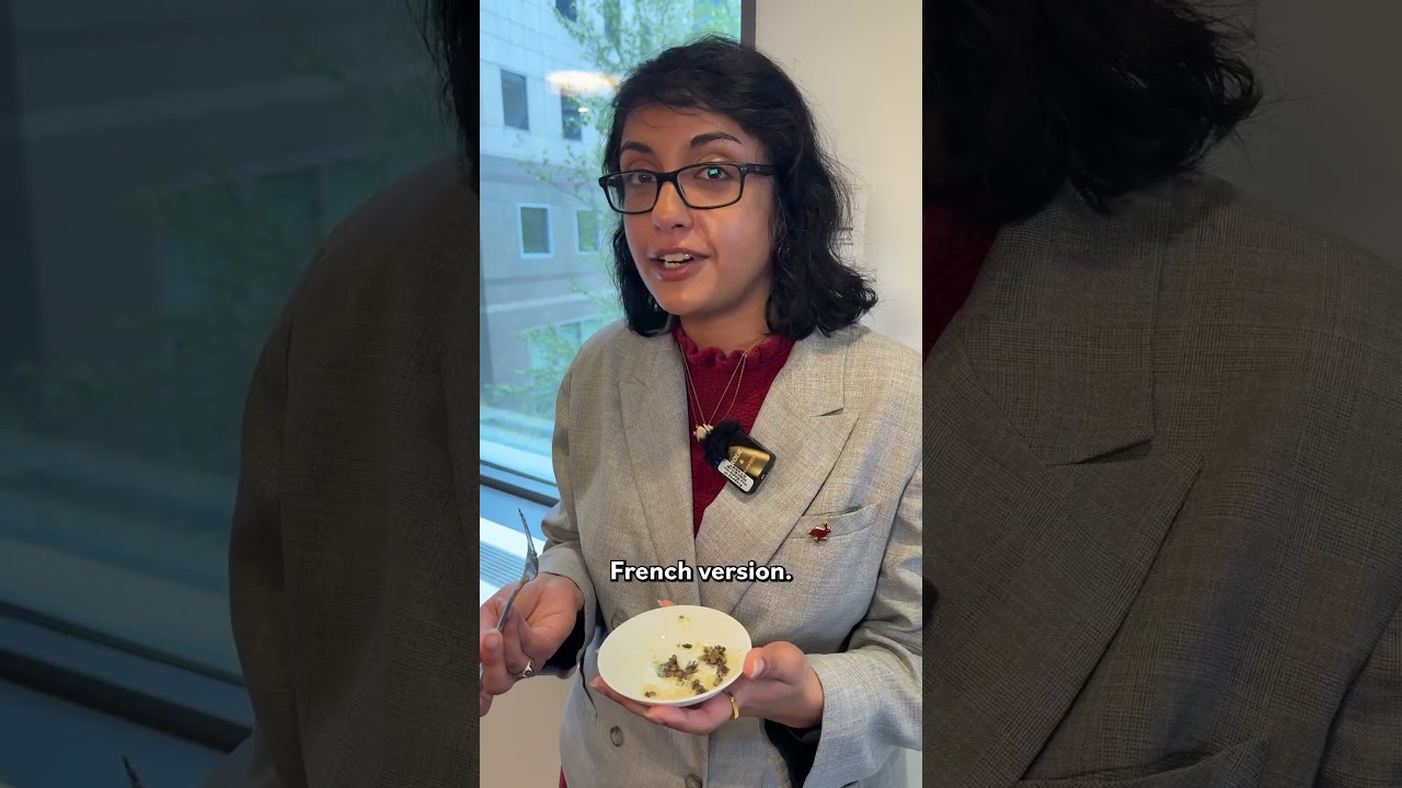 French Stuffed Cabbage Secrets from Top Chefs Revealed