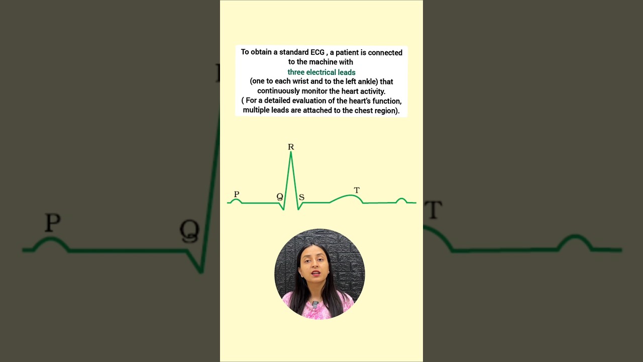 ECG Components Explained: P Wave, QRS Complex, T Wave Guide