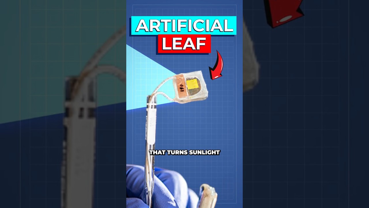 Artificial Leaf Breakthrough Turns Sunlight into Liquid Fuel Efficiently