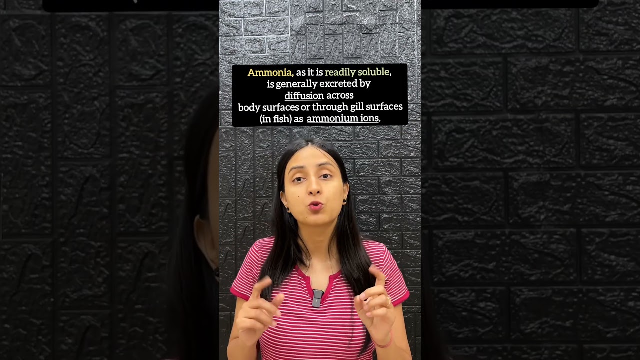 Nitrogenous Waste Types: Ammonotelism vs Ureotelism vs Uricotelism