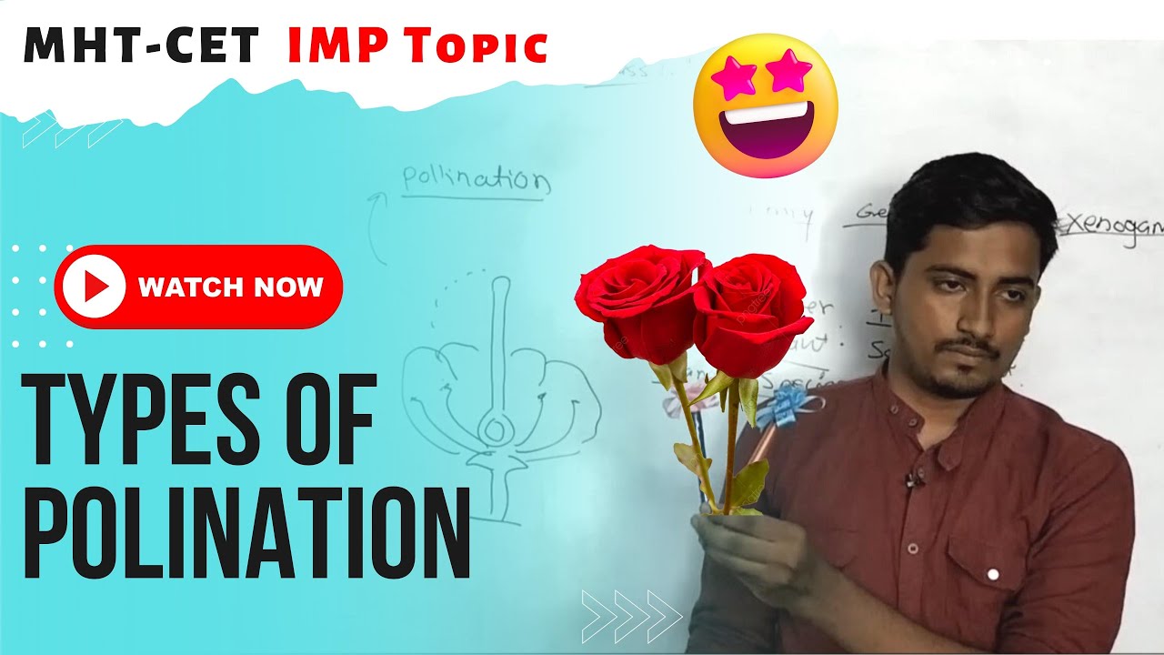 Pollination Explained: Types, Process & Importance