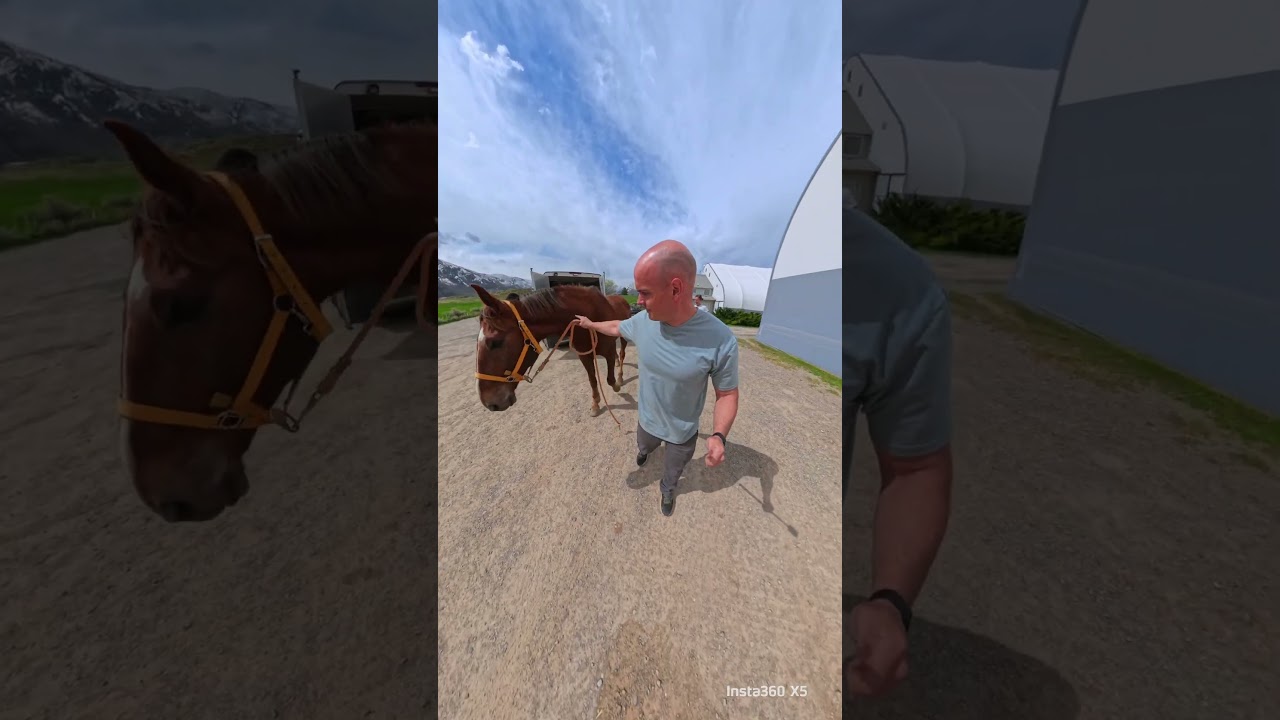 Insta360 X5 Captures Horse Accident in 8K: Footage Analysis