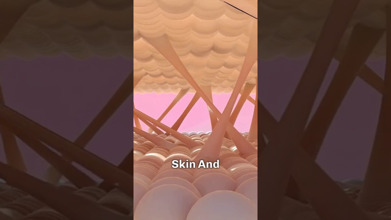 Collagen Peptides: Proven Skin Benefits at Any Age