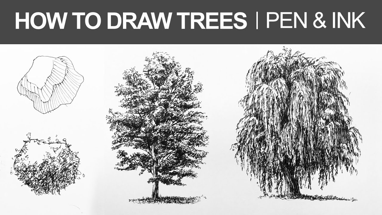 Master Pen and Ink Tree Drawing: Shape, Form & Texture Techniques