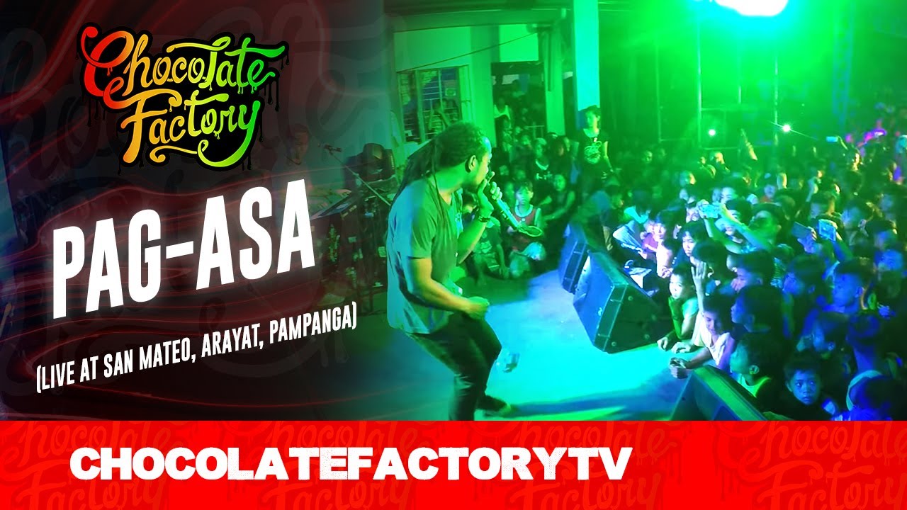 Essential Cooking Basics for Beginners: Start Right Today