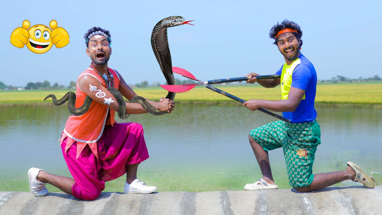 Viral Music Engagement Secrets from Hindi Hit Analysis