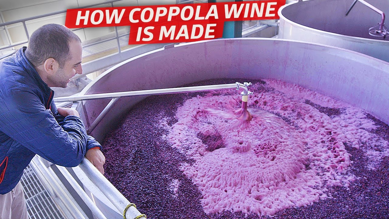 How Coppola Winery Balances Mass Appeal with Premium Quality