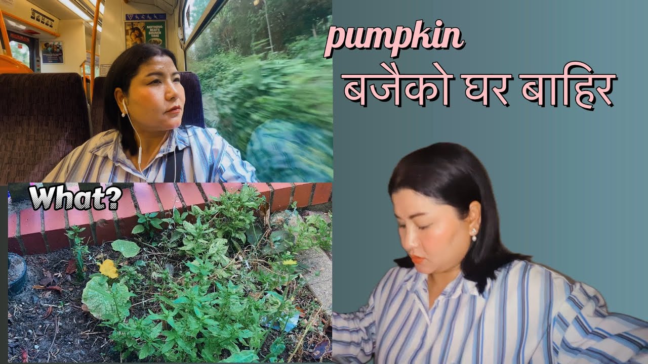 iPhone 13 Budget Review: Real Parent Experience & Savings Tips