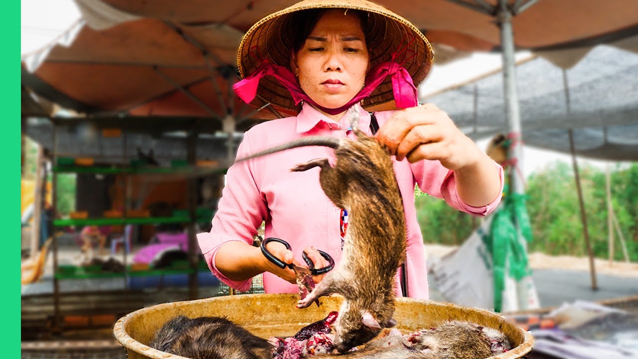 Daring Mekong Delta Food Adventure: Rats, Bugs & Coconut Cults
