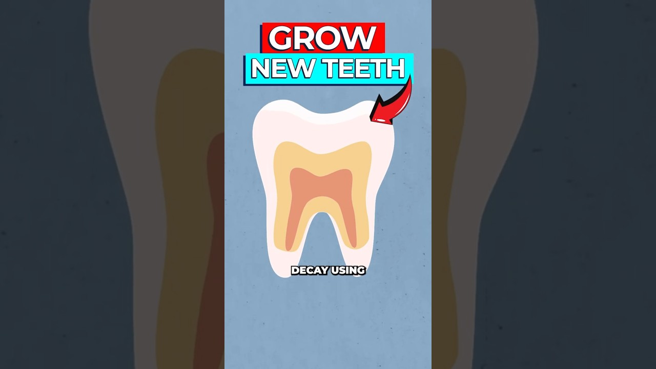 Reverse Tooth Decay Naturally: Sheep Wool Breakthrough