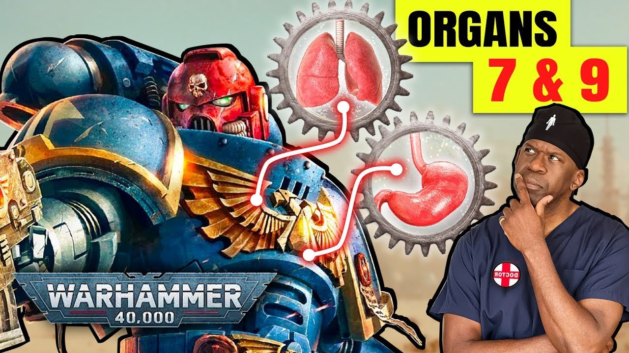 Space Marine Organ Implants: Medical Feasibility Explained