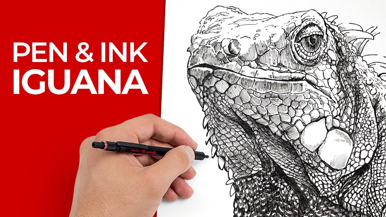 Master Pen and Ink Iguana Drawing: Step-by-Step Tutorial
