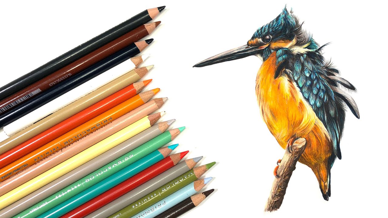 Master Realistic Kingfisher Drawing with Colored Pencil Techniques