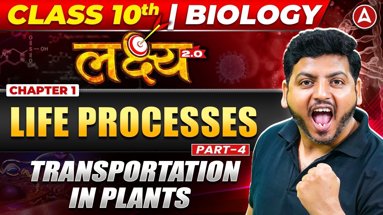 Plant Transport Systems: Xylem, Phloem, and Mechanisms Explained