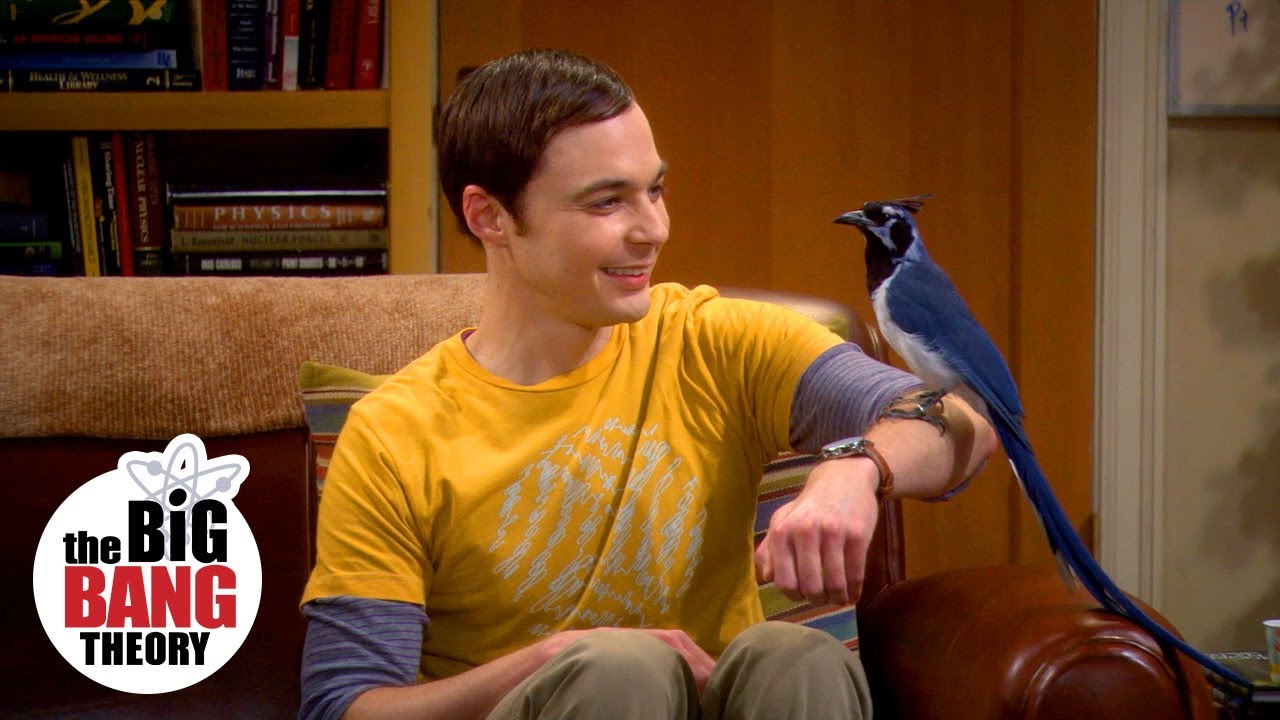 Overcoming Bird Phobia: A Science-Based Guide to Conquer Fear