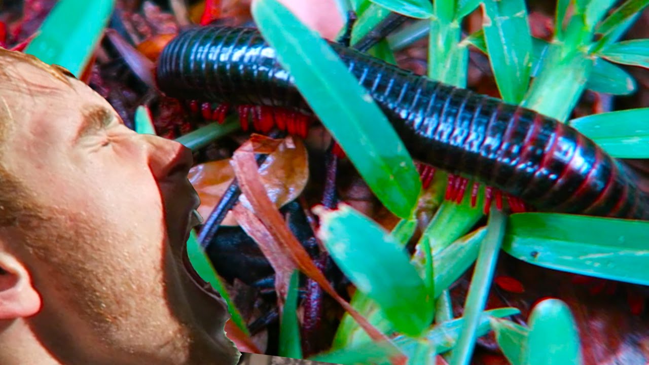 Tanzania Beyond Tourism: Social Impact Travel Guide