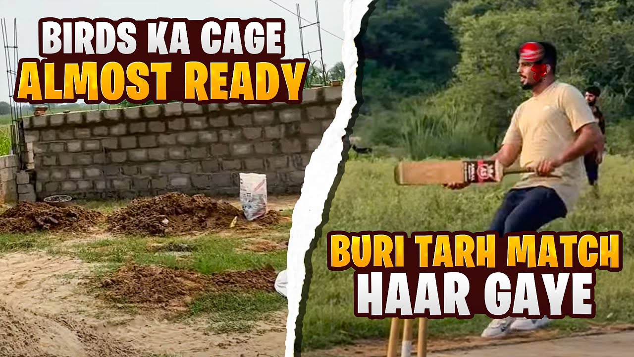 Animal Keeping Passion: Debunking Content Creator Misconceptions