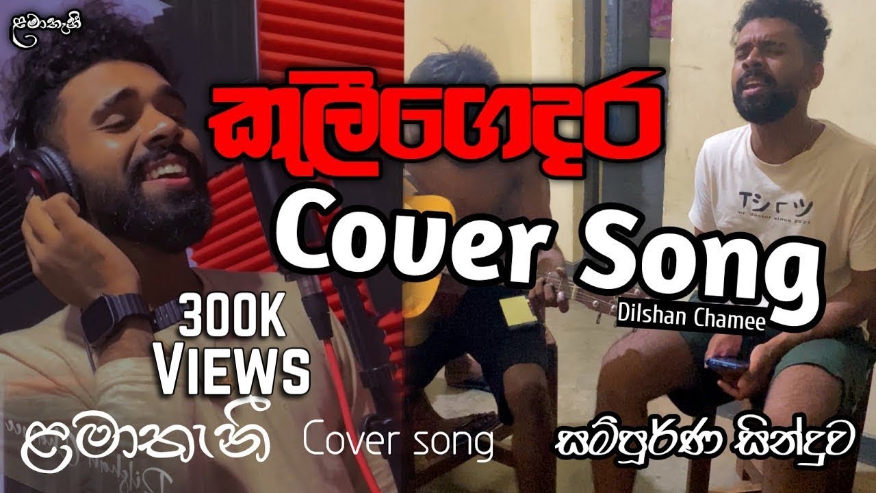 Unlocking Hindi Song Emotion: Voice of Heart Analysis