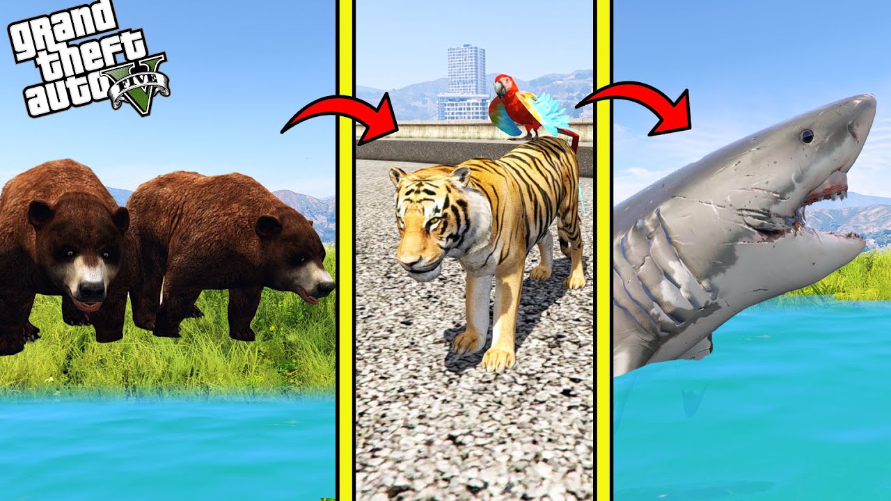 Practical Safety Strategies: Real-World Protection Tips