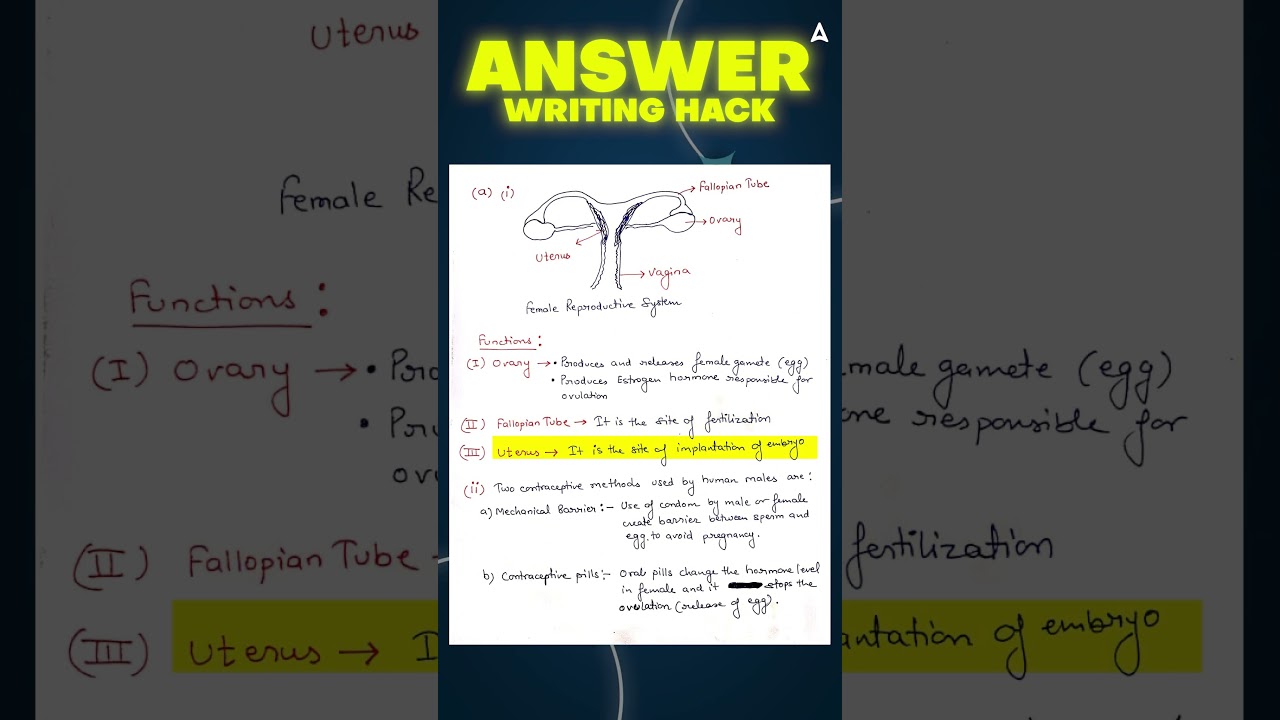 Score Full Marks: Female Reproductive System & Contraception CBSE Guide