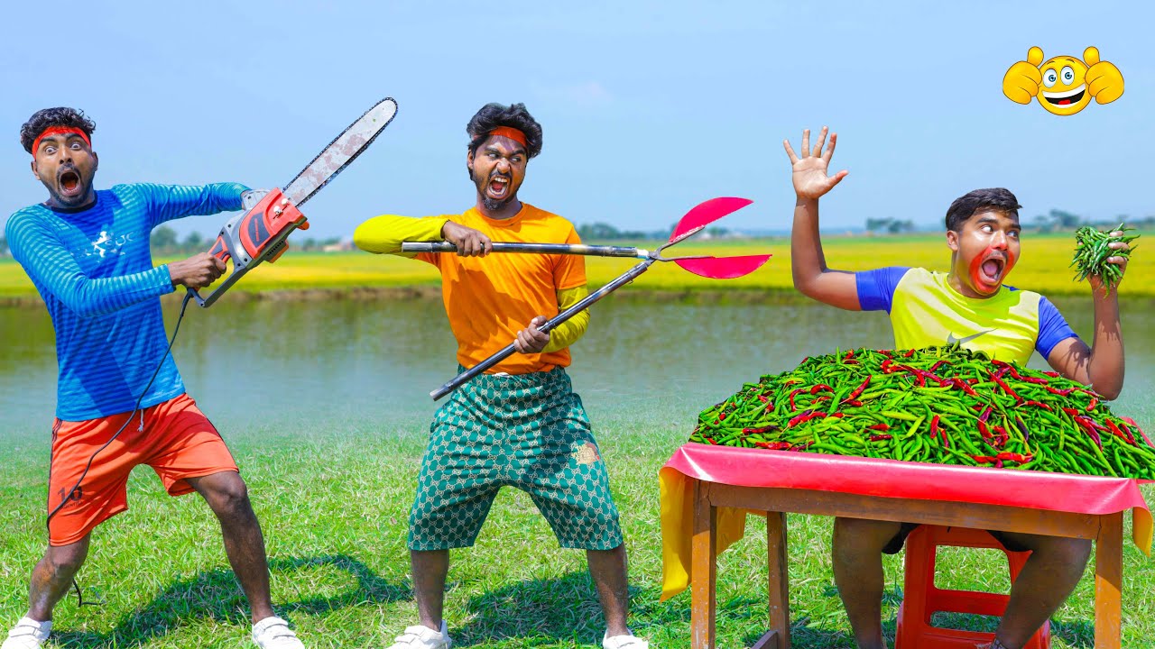 Decoding Hindi Folk Performance Expressions