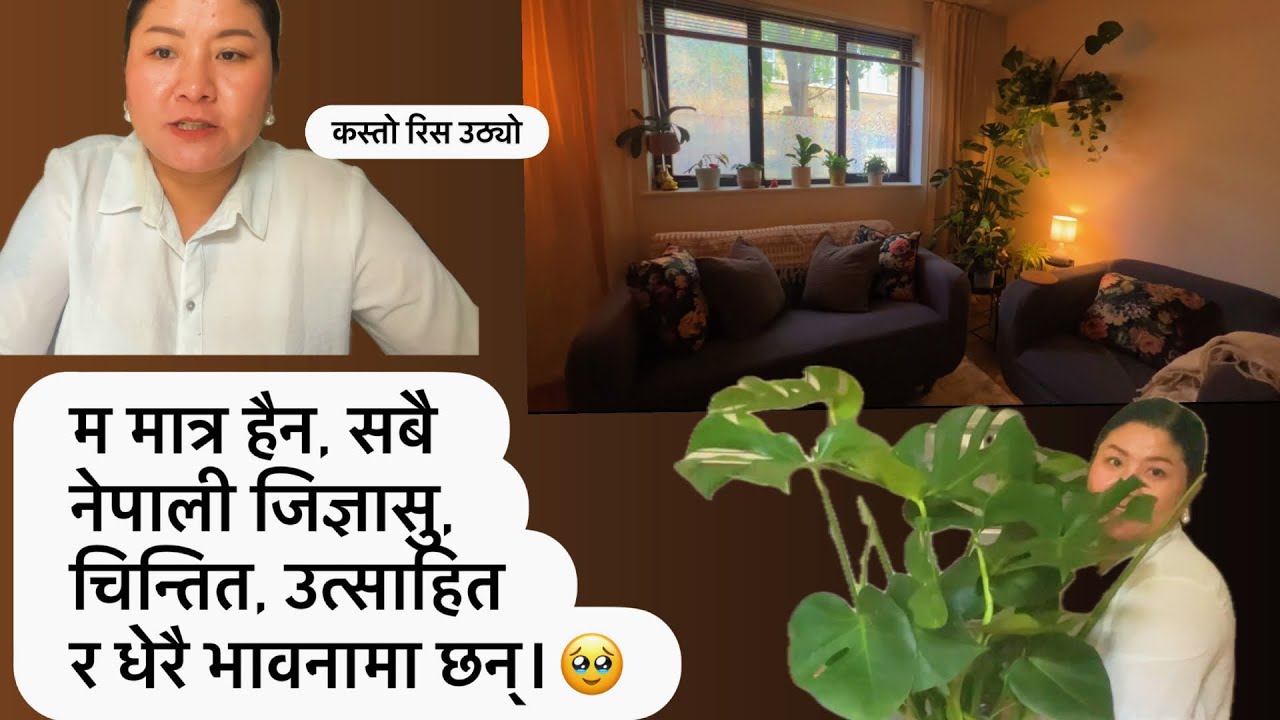 Monstera Care Guide: Revive Plants with £19 IKEA Find