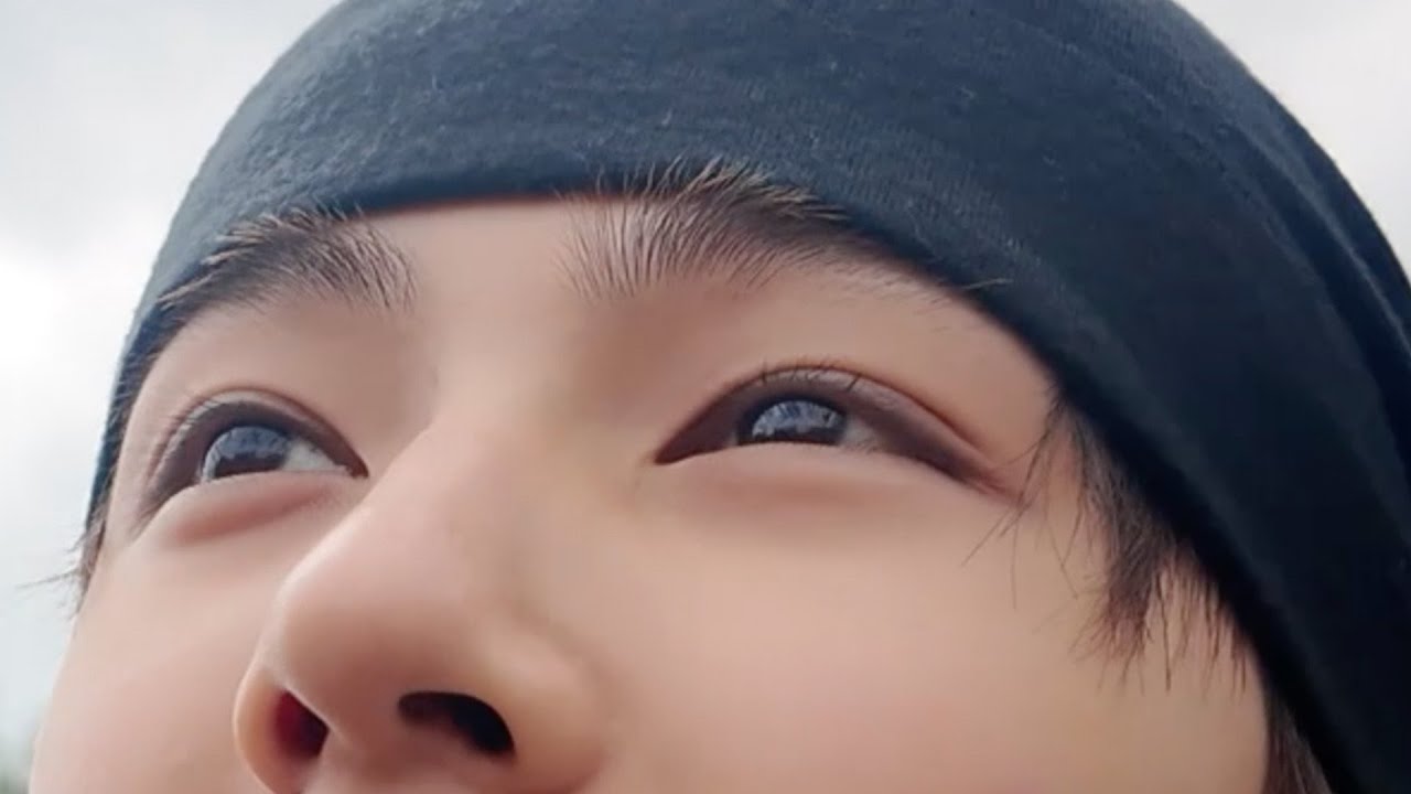 How to Identify Common Desert Plants: A Hiker's Guide