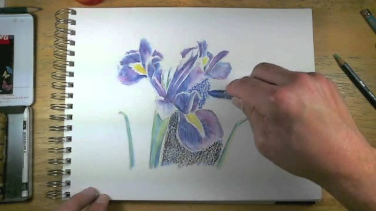 Watercolor Pencil Mastery: Prevent Buckling & Control Color