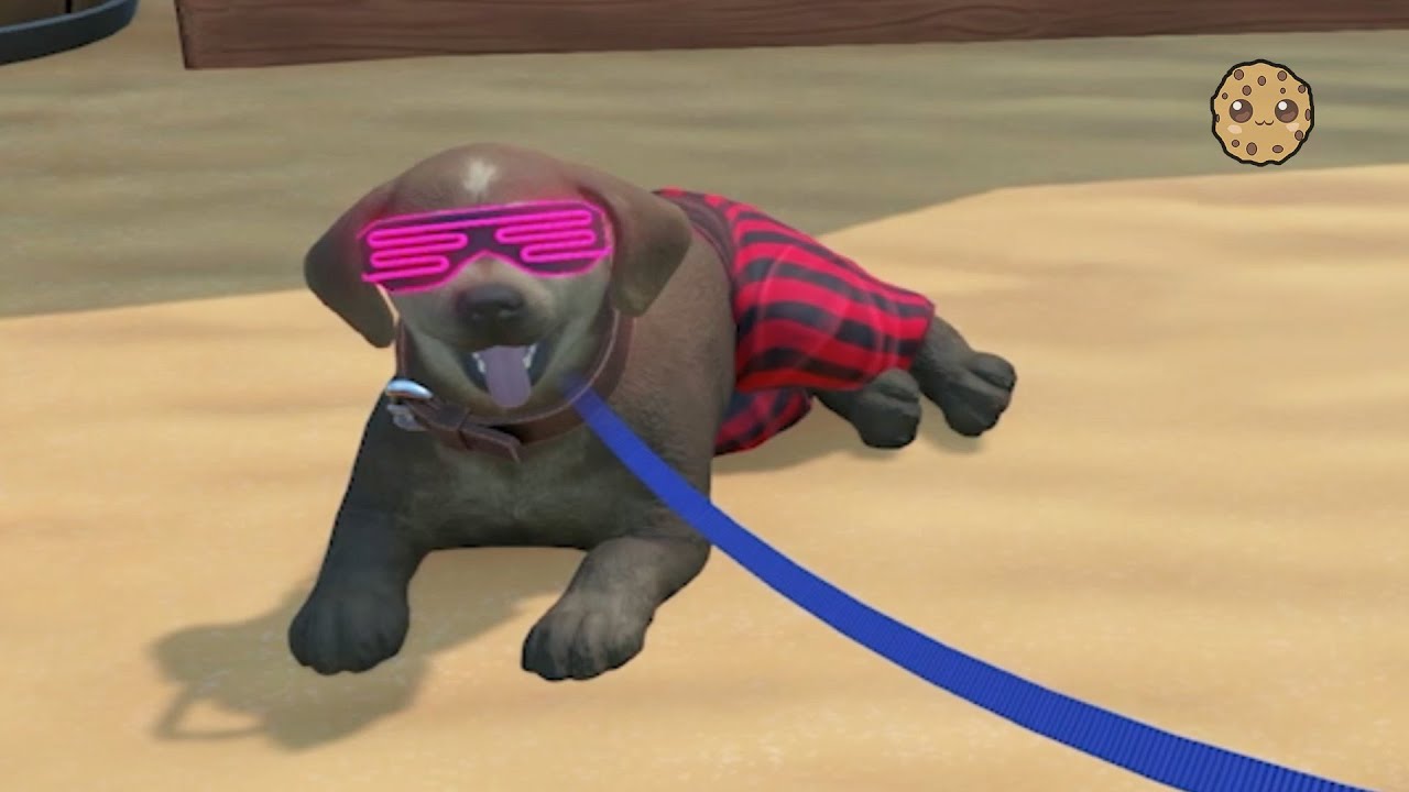 Puppy Island Game Guide: Secrets, Tips & New Puppy Adventures