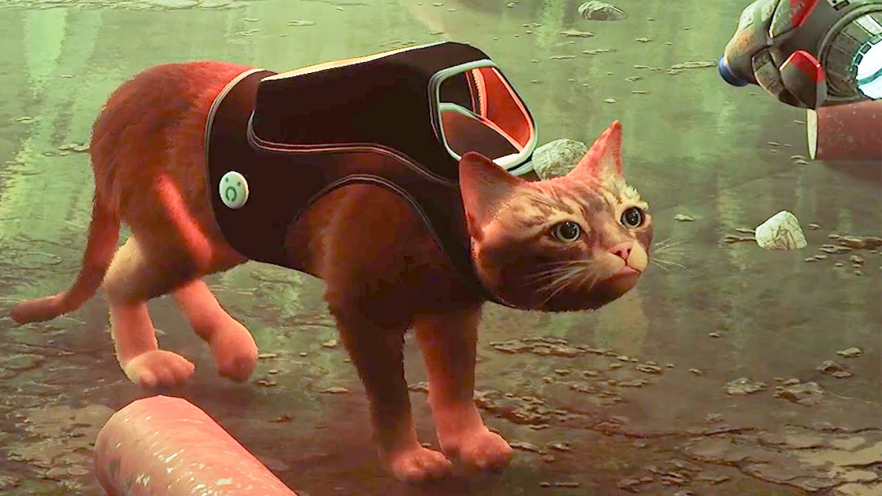 Stray Midtown Secrets: Doc Rescue & Zerk Survival Guide