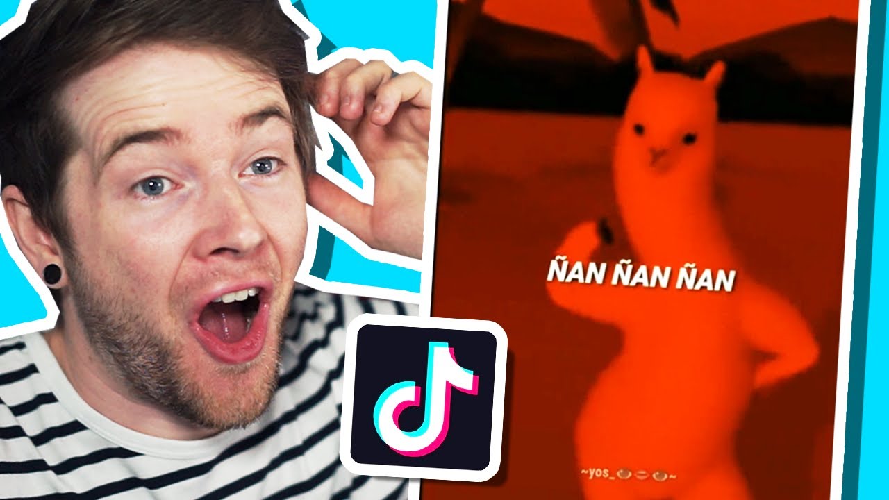 25 Funniest TikTok Compilations You Can't Miss | Dan Reacts