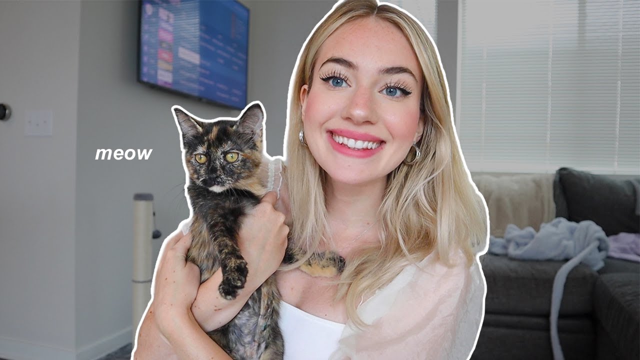 Adopting Your First Kitten: A Personal Journey and Essential Tips