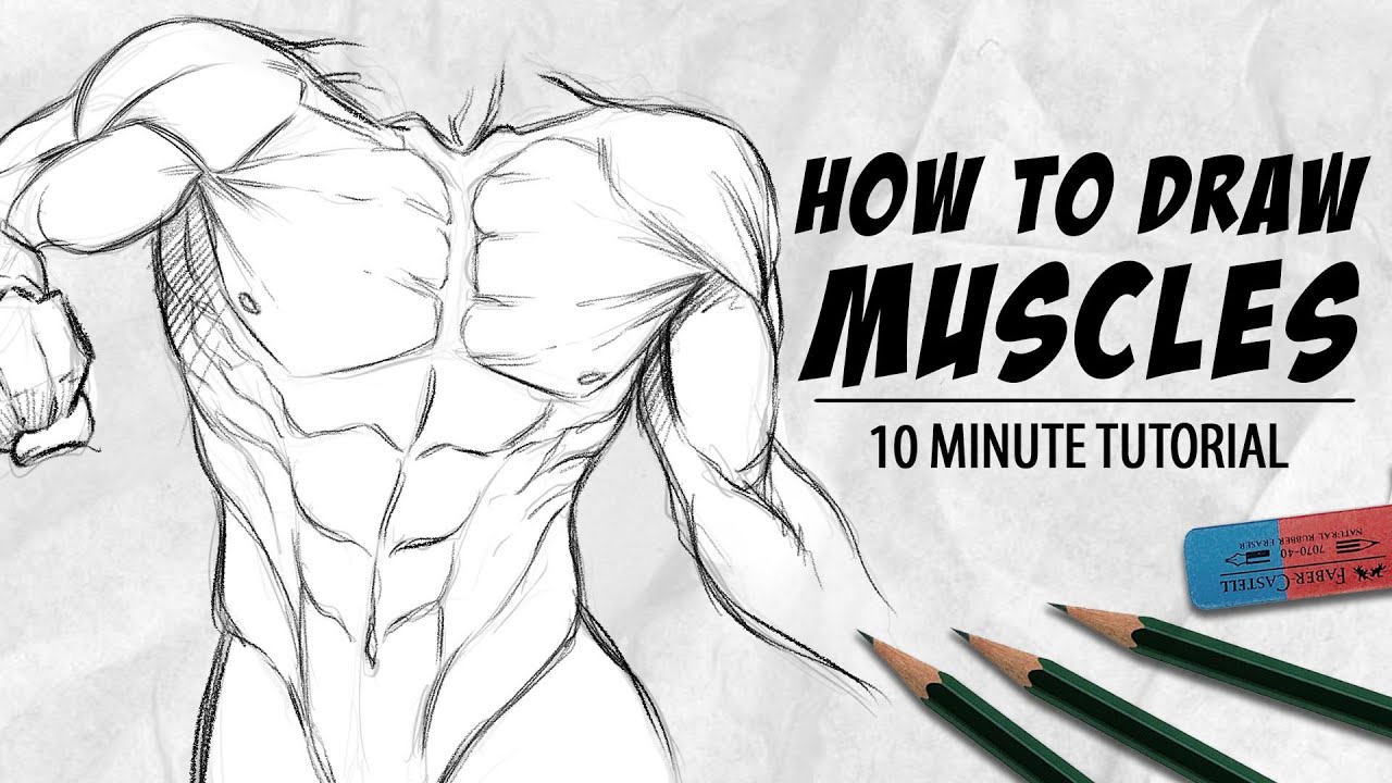 How to Draw Realistic Muscles: Anatomy Simplified for Artists
