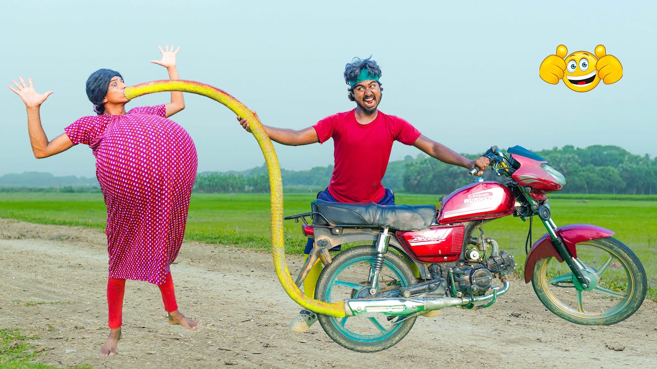 Conflict Resolution in Family Dynamics: Expert Strategies