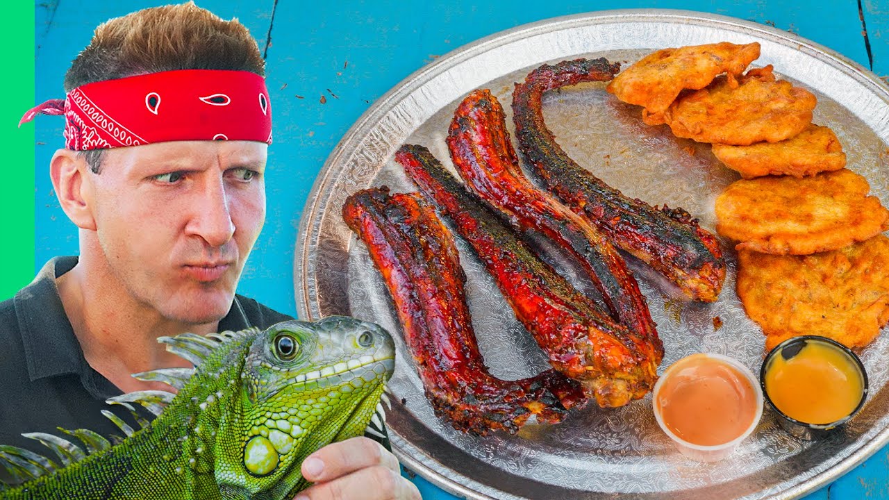 Iguana Hunting in Puerto Rico: Pest Control to Gourmet Plates