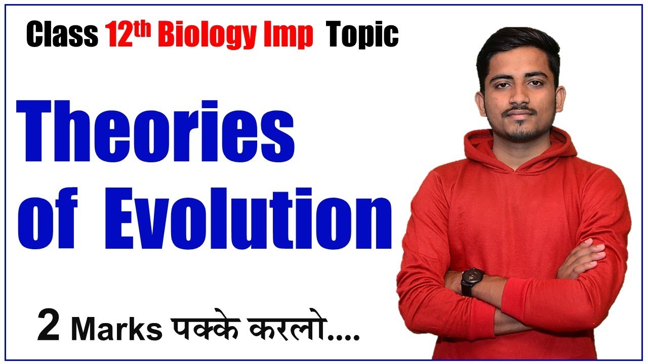 Top 4 Theories of Life's Origin: Class 12 Biology Exam Guide