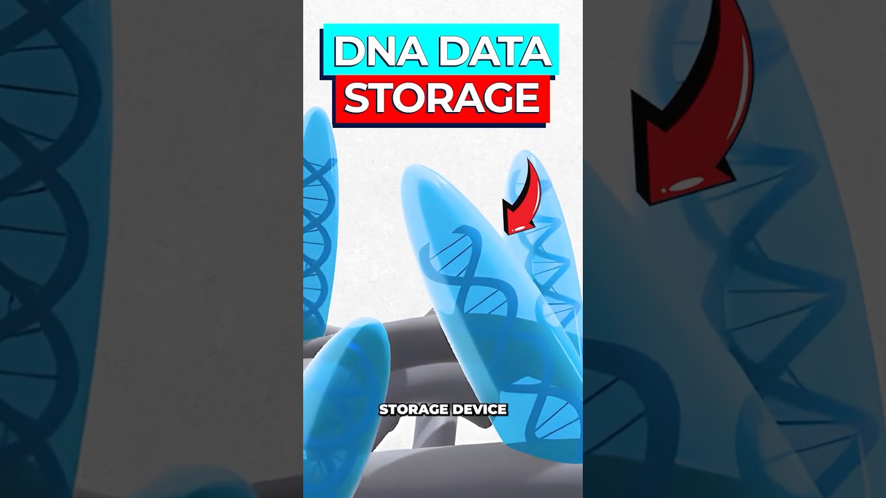 DNA Cassette Storage: 36 Petabytes on 1km Tape