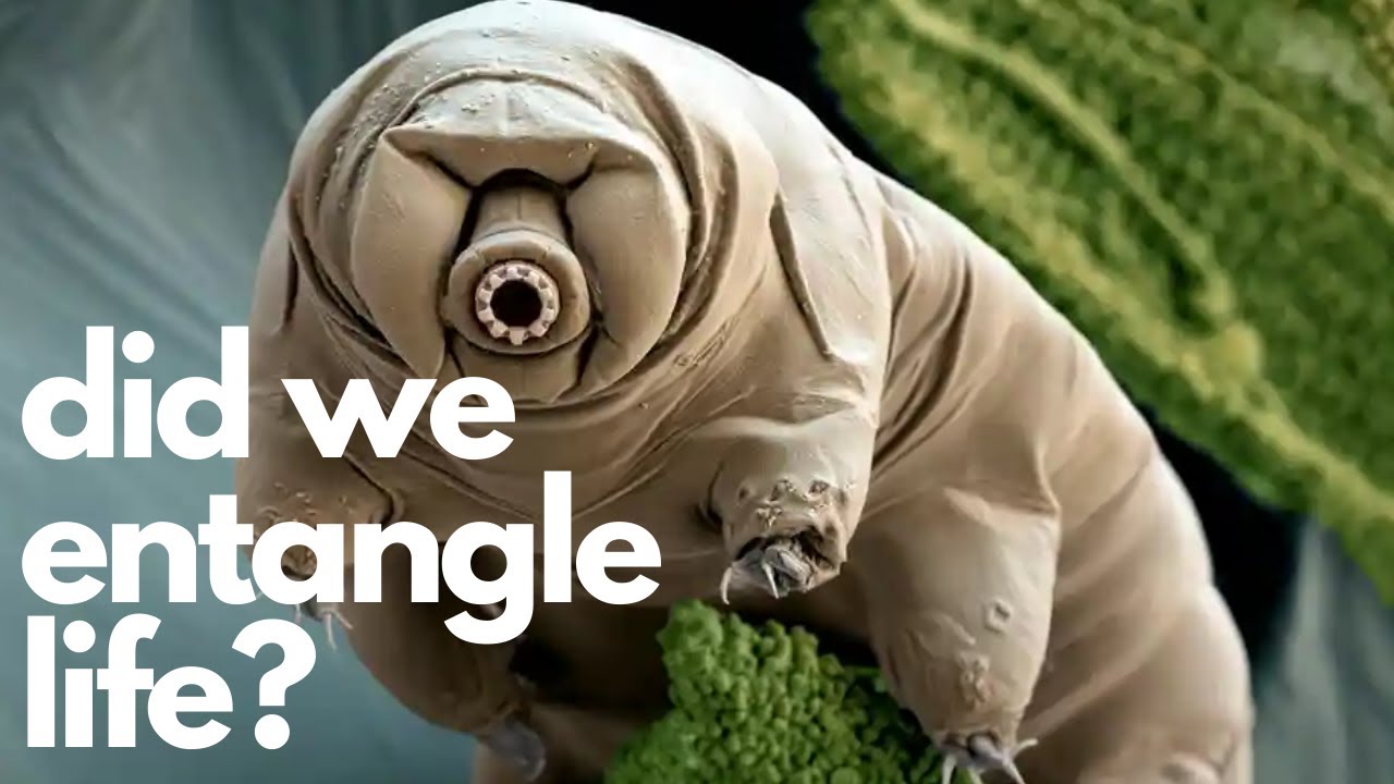 Are Tardigrades Quantum Entangled? Truth Behind Viral Claim
